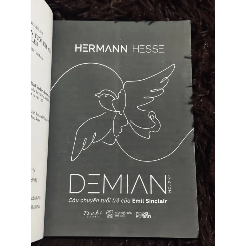 Combo Herman Hesse 996749