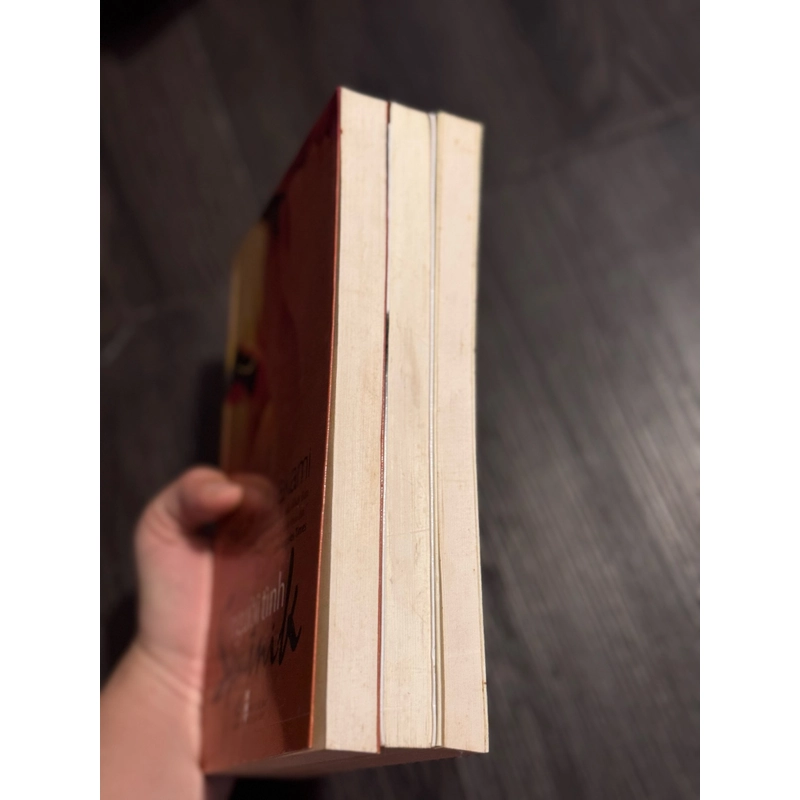 Combo 3c Haruki Murakami 471231