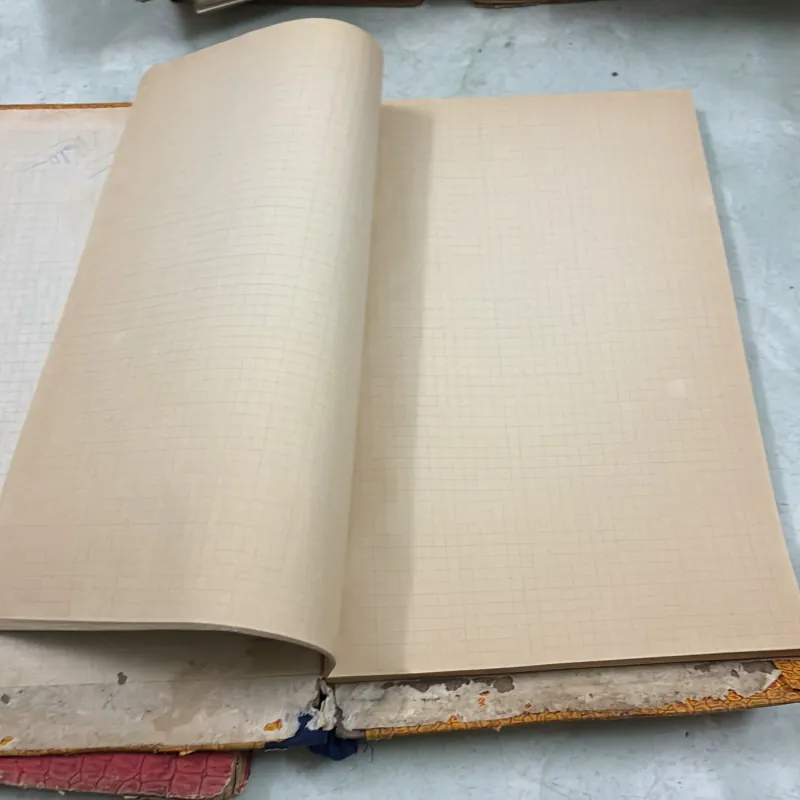 Sổ xưa khổ to (2 cuốn) 1006940