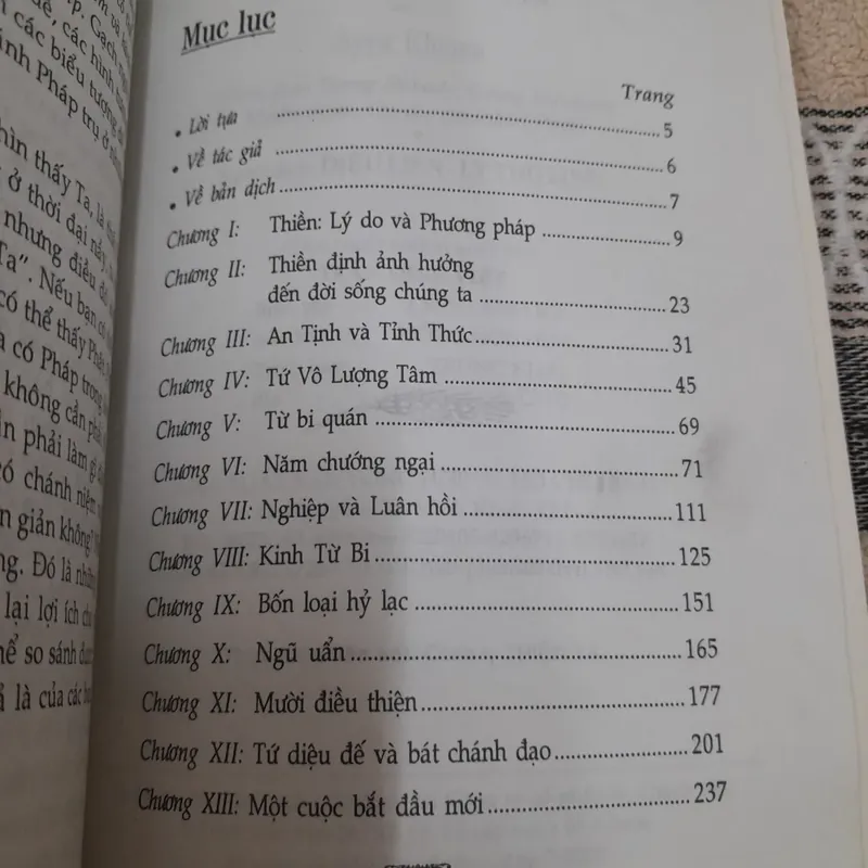 Vấn đề và Phương pháp nghiên cứu tôn giáo Vô Ngã Vô Ưu. Ni sư Ayya Khema 606346