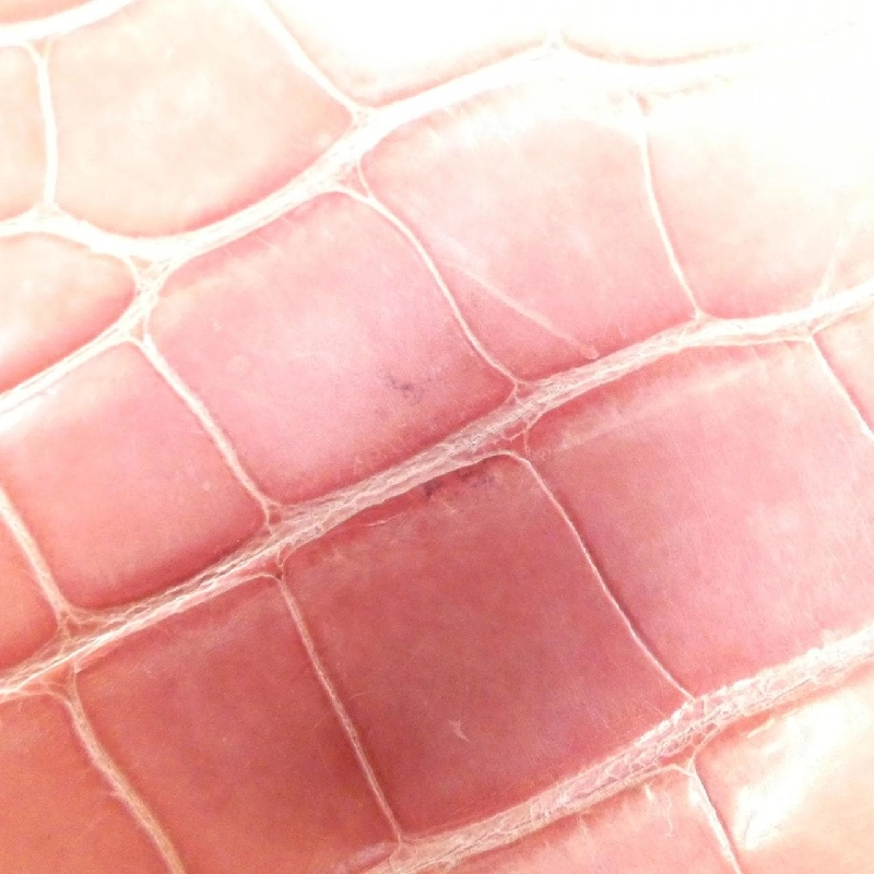 Ví Zippy da kỳ lạ Louis Vuitton N94136 620610