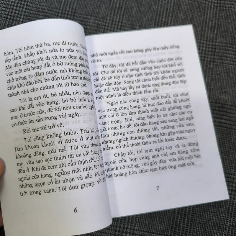 (Sách bỏ túi) Dế Mèn Phiêu Lưu Ký - Tô Hoài 701050