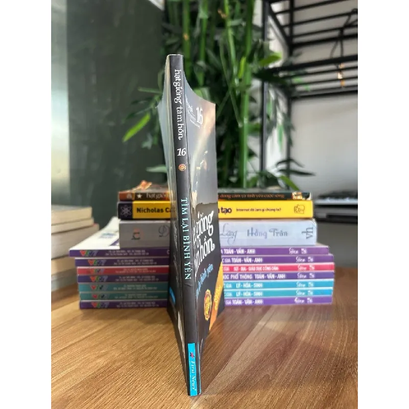 Hạt giống tâm hồn 16 – Tìm lại bình yên - Nhiều tác giả (First News tổng hợp và thực hiện) 573270