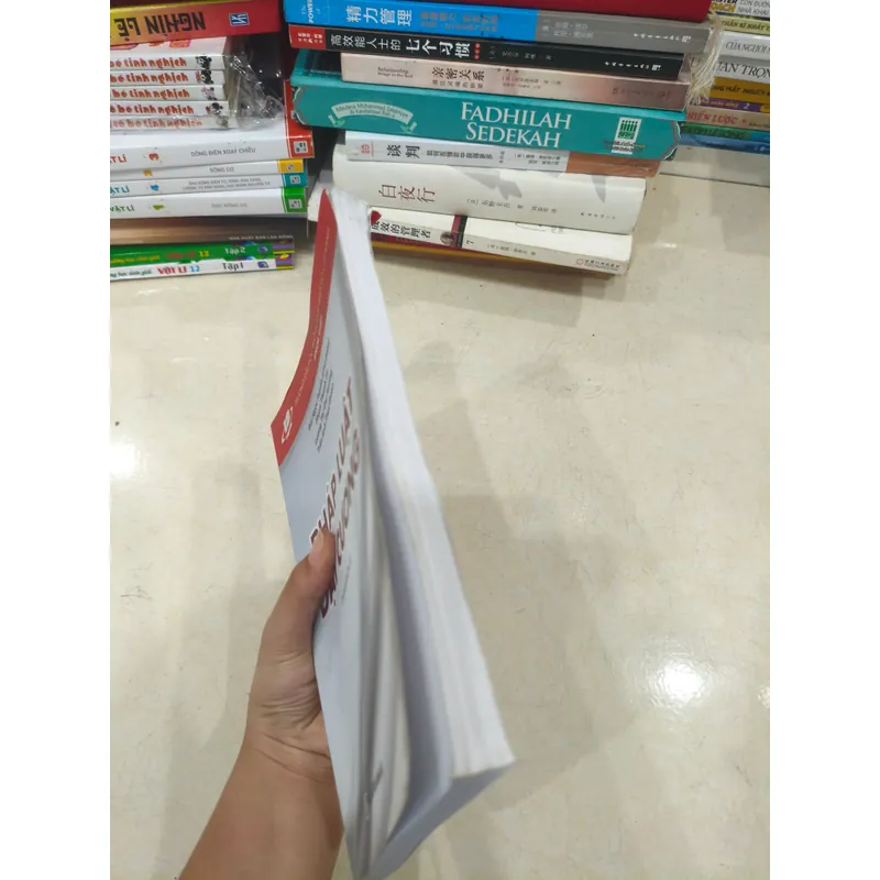 Pháp luật đại cương 🌱 689295