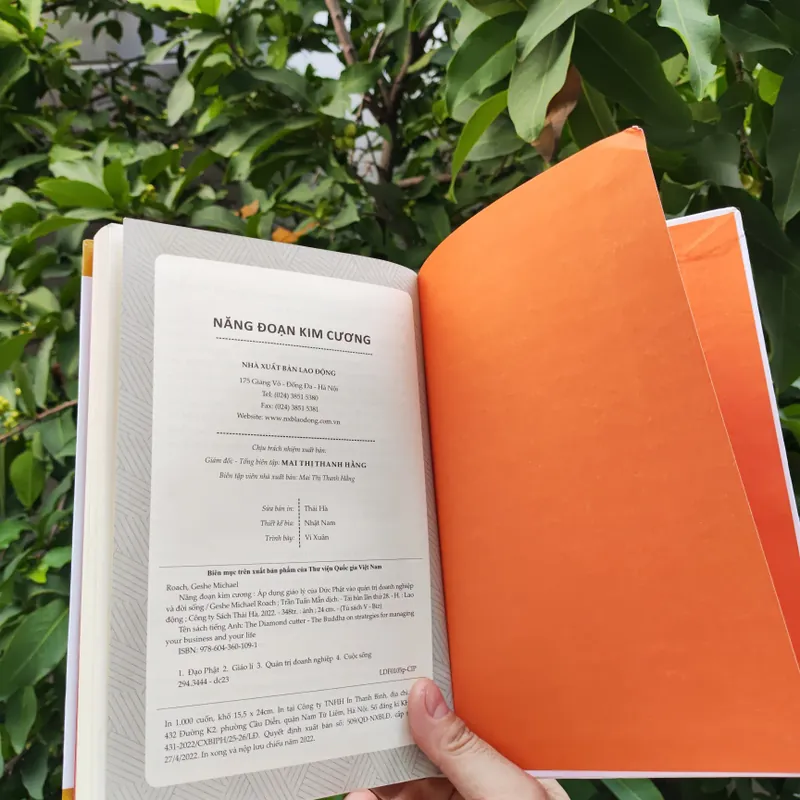 Năng Đoạn Kim Cương 706363