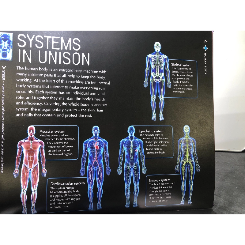 Human Body BÌA CỨNG mới 85% bẩn nhẹ Navigators HPB3107 NGOẠI VĂN 450750