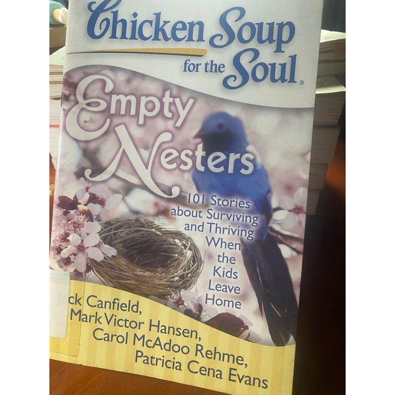 Chicken Soup for the Soul - Empty Nesters 538407