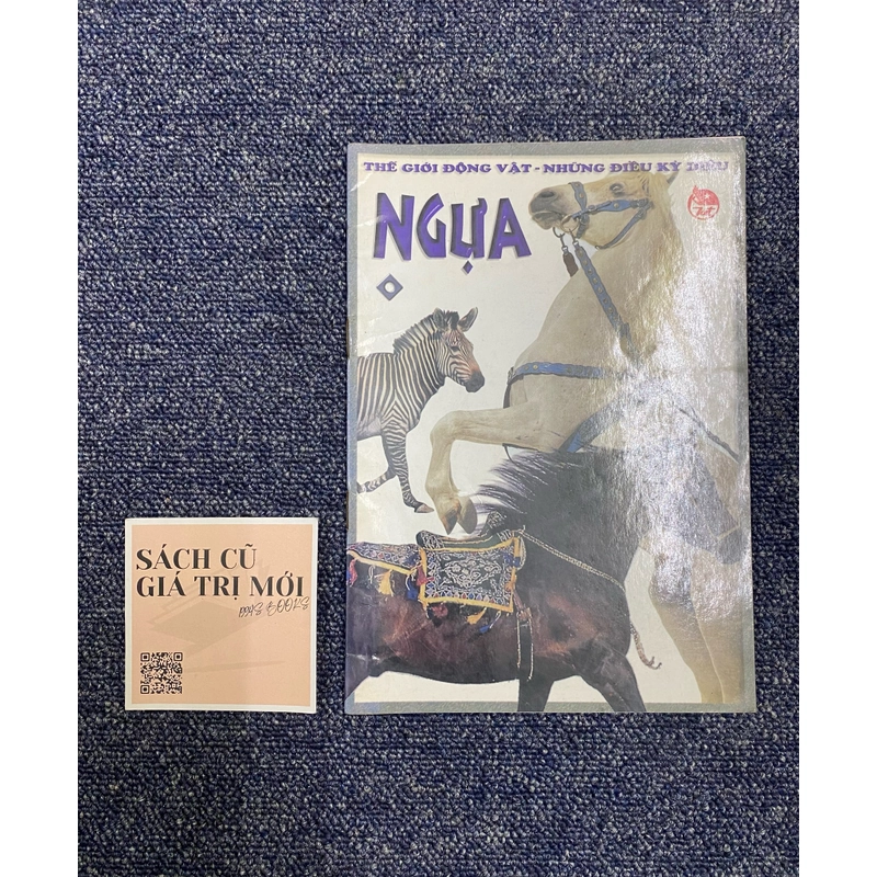 Ngựa - Thế giới động vật 537237