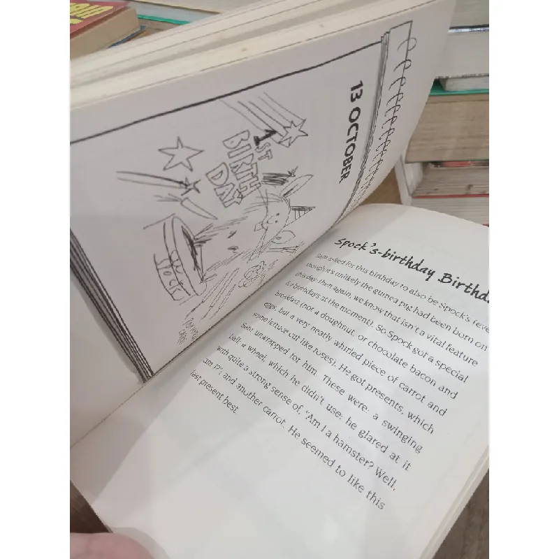 Birthday boy - David Baddiel 704148