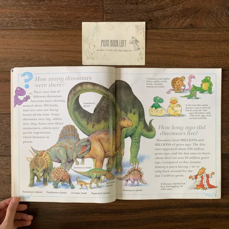 Sách ngoại văn I Wonder Why: Triceratops Had Horns, Used, Bìa mềm 756489