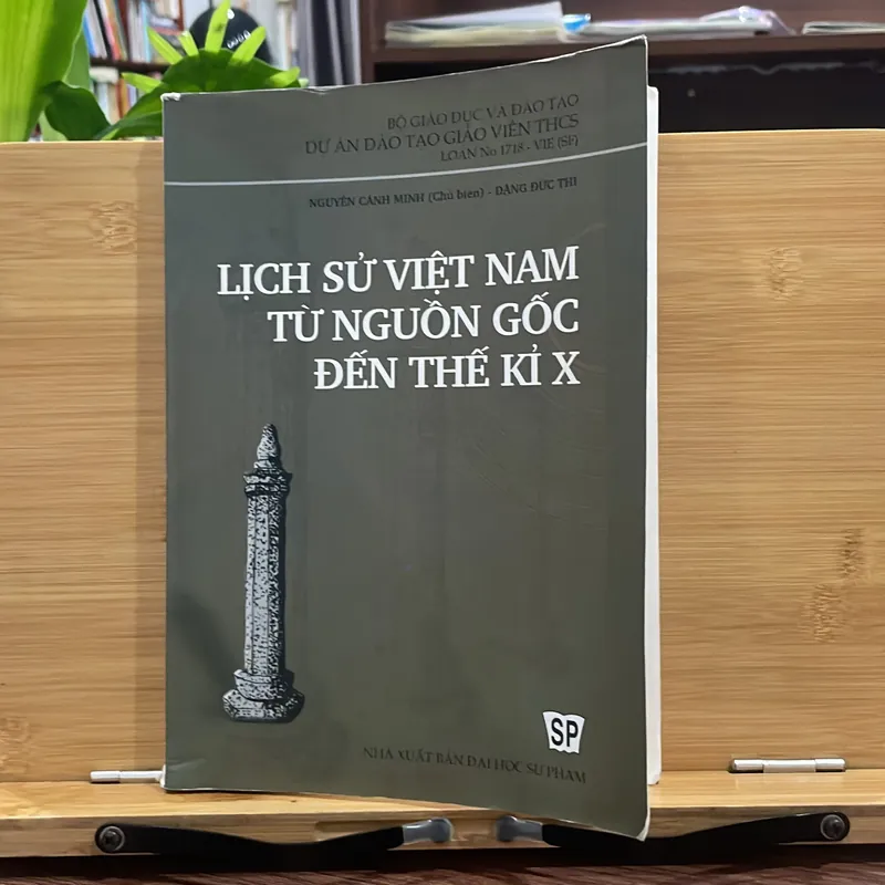 Lịch sử Việt Nam từ nguồn gốc đến thế kỷ x 705449