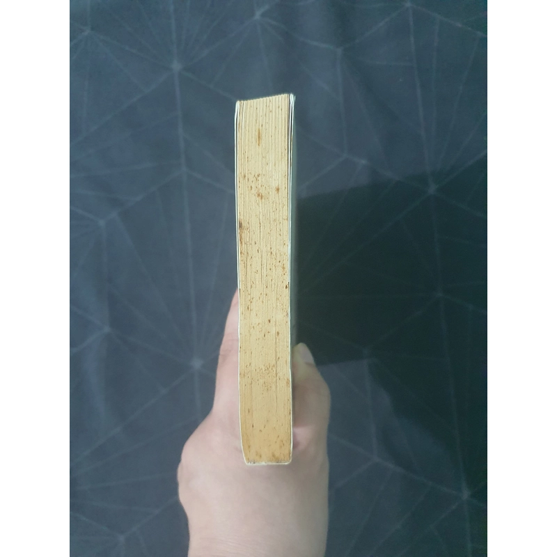 "Tình kiếp tam sinh" - Cửu Lộ Phi Hương 493144