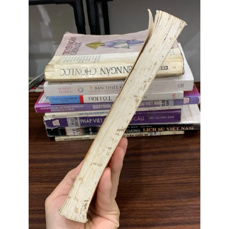 Chân dung thiếu phụ – Nhiều tác giả 589492