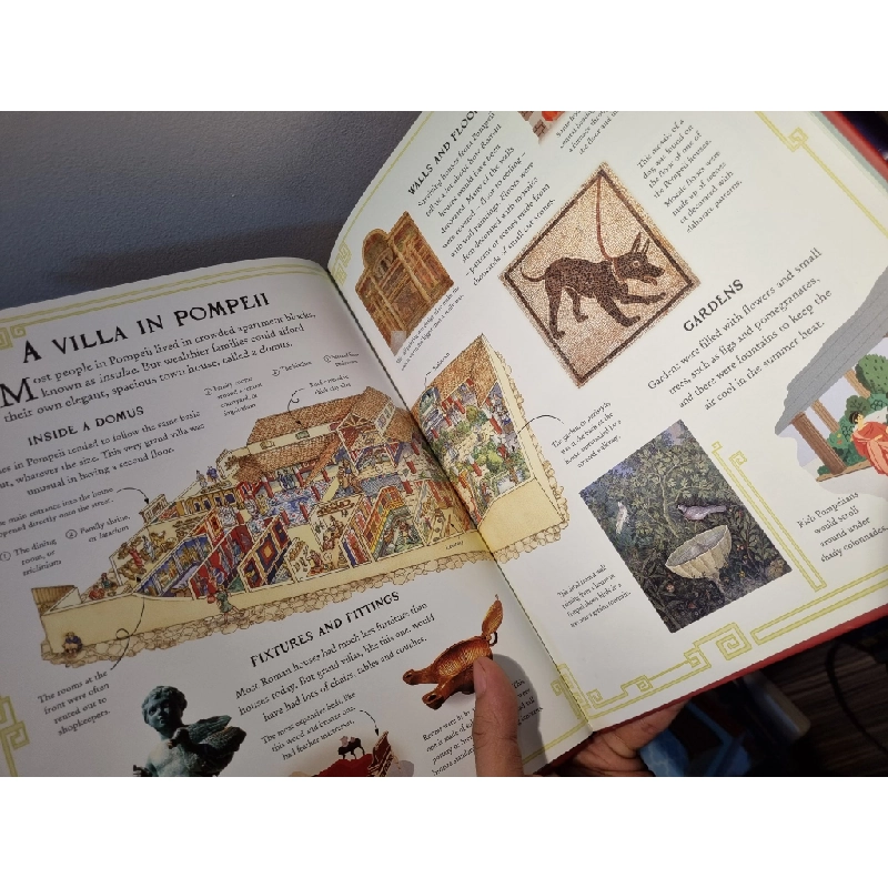 POMPEII : Picture Book (Usborne) 222627