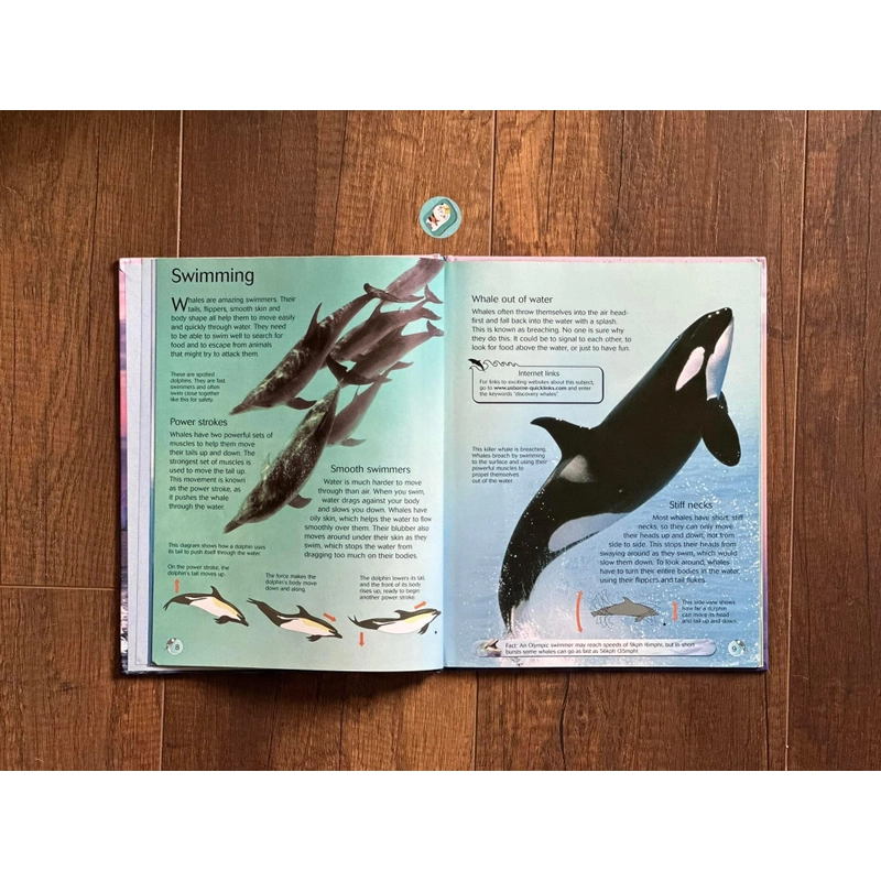 [Bìa cứng] Usborne Discovery: WHALES AND DOLPHINS 224295