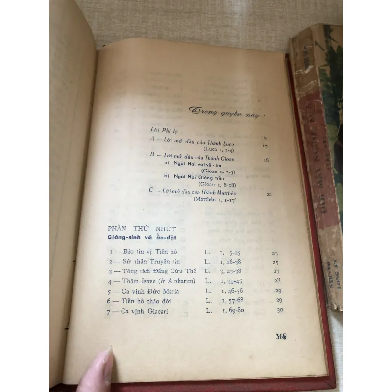 Người Yêu Tôi 1010731