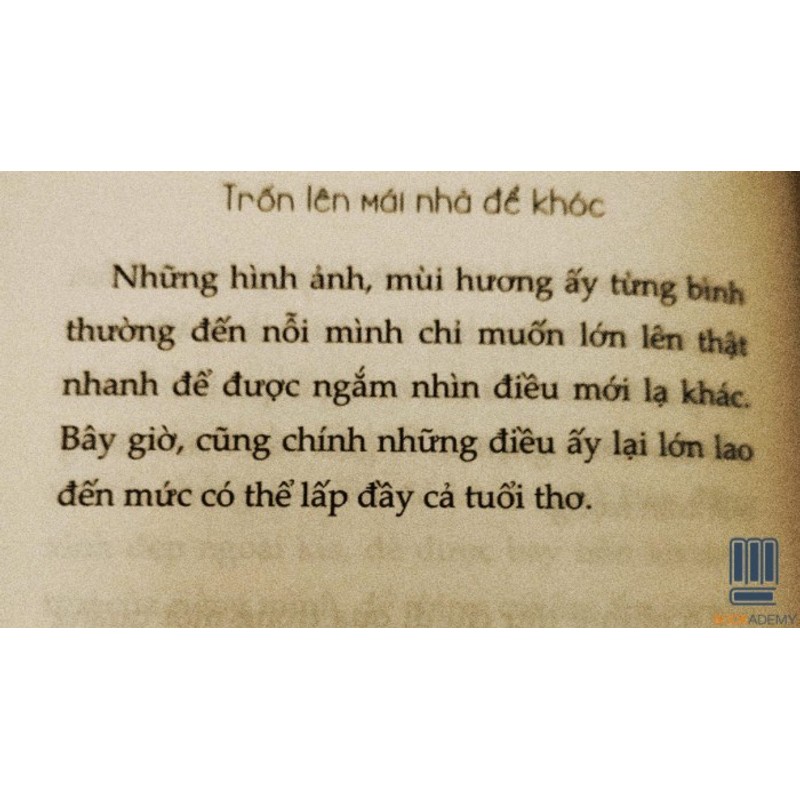 Sách - Trốn Lên Mái Nhà Để Khóc (AZ Việt Nam) 140000