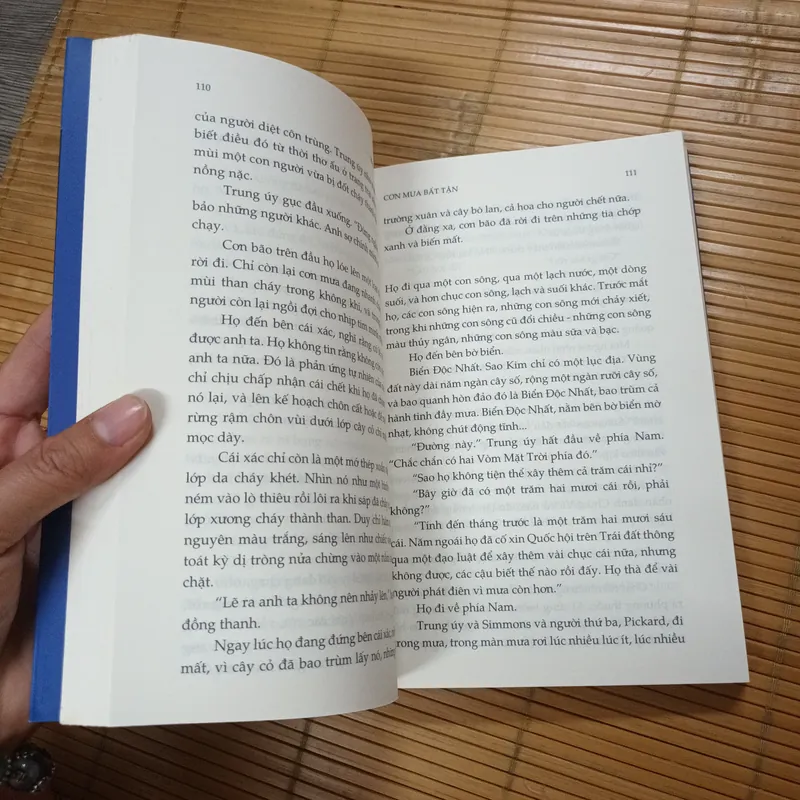 Người Minh Họa - Ray Bradbury 715235