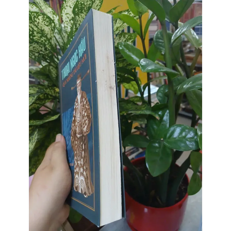 THOẠI NGỌC HẦU QUA NHỮNG TÀI LIỆU MỚI - TRẦN HOÀNG VŨ 1028163