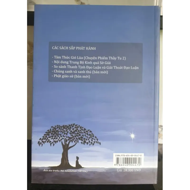 Triết học A-tỳ-đàm của Phật giáo truyền thống - D. Methm Toàn tập 695884