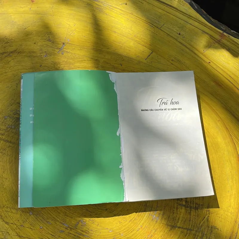 TRÀ HOA NHỮNG CÂU CHUYỆN VỀ 12 CHÒM SAO 783445