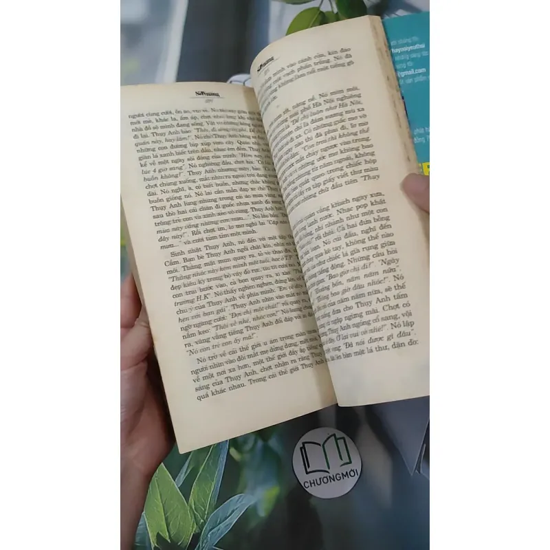 Say Nắng - Những Mối Tình Đan Xen 1018876