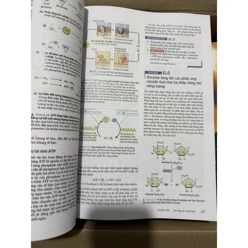 [Miễn ship] Sách Sinh Học Campbell Reece 707824