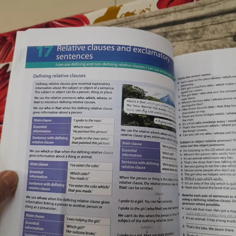 Oxford Grammar for school. Level 5 738499