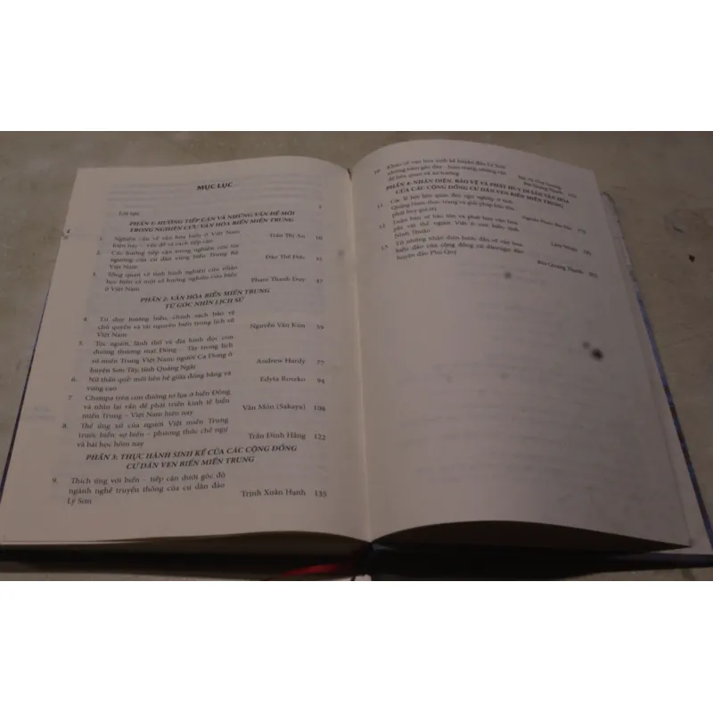 Văn hoá biển Miền Trung trong xã hội đương đại 991212