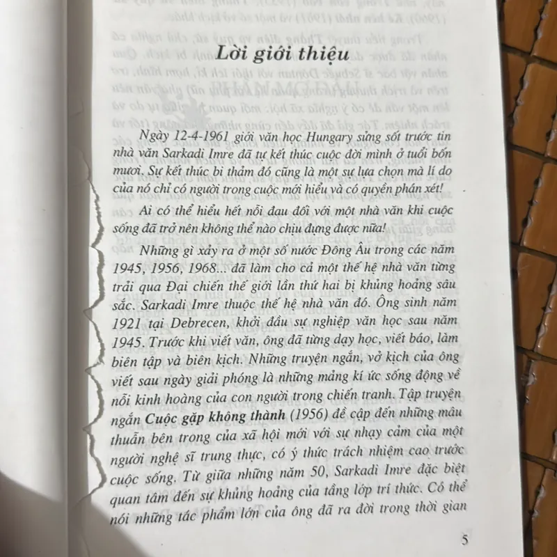 Thằng điên và quỷ sứ - Sarkadi Imre 568599