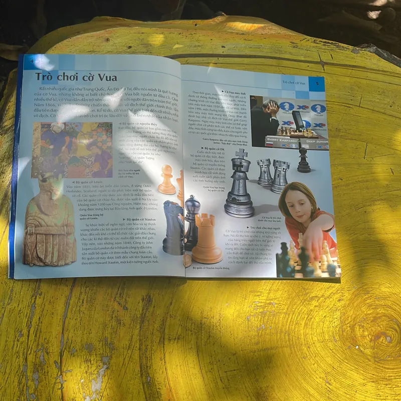 COMBO CỜ VUA HÃY CHƠI ĐỂ CHIẾN THẮNG- CỜ VUA NGHỆ THUẬT TRUNG CUỘC 707502