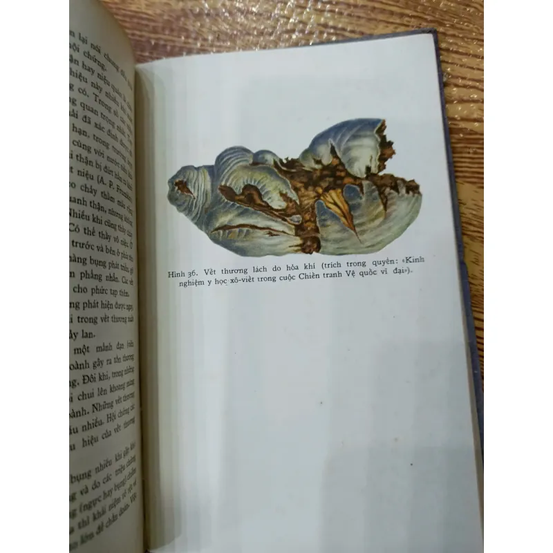 Ngoại khoa dã chiến 1009417