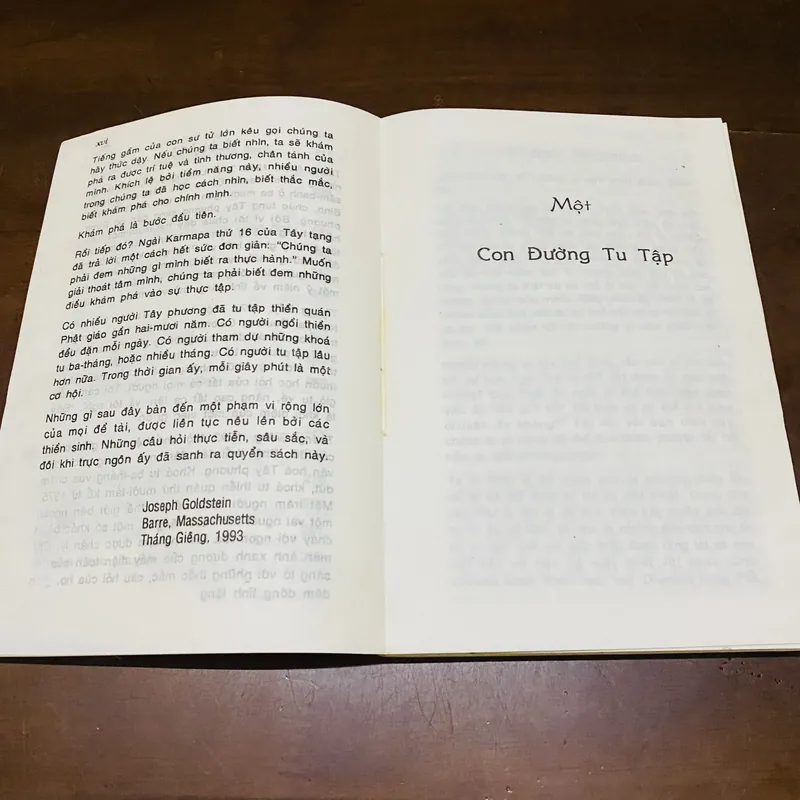 Kinh nghiệm thiền quán phương pháp thiền tập Vipassana 719108