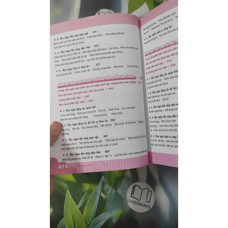 Bộ 2 Cuốn: Bồi Dưỡng IQ Cho Trẻ Từ 0-3 Tuổi - Tạ Băng & Lâm Nghĩa Vân & Ngô Thiệu Lâm 1018928