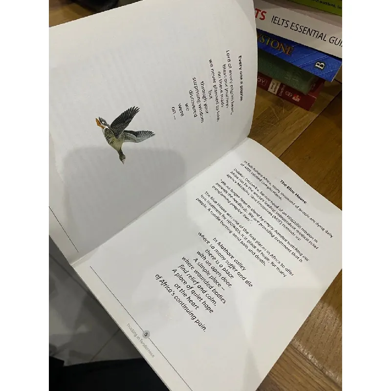 Trusting in Tenderness : Poems for our Time - Peter Millar 560858