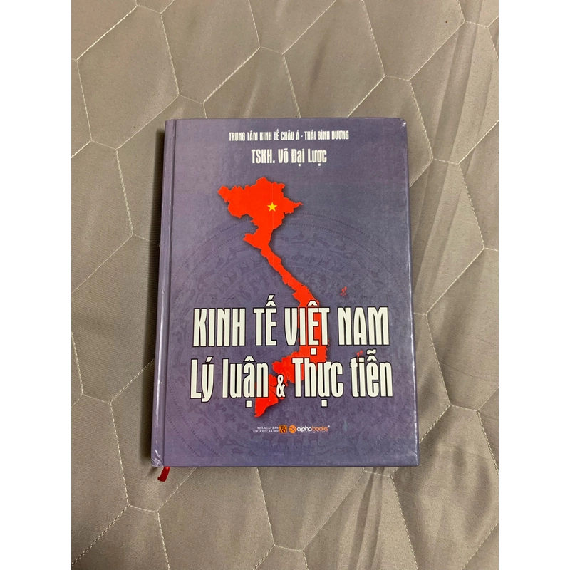 Kinh tế việt nam lý luận và thực tiễn. 999 455205