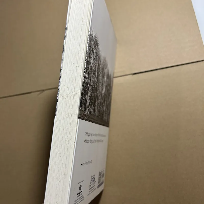 Làng mai nhìn núi thứu 570531