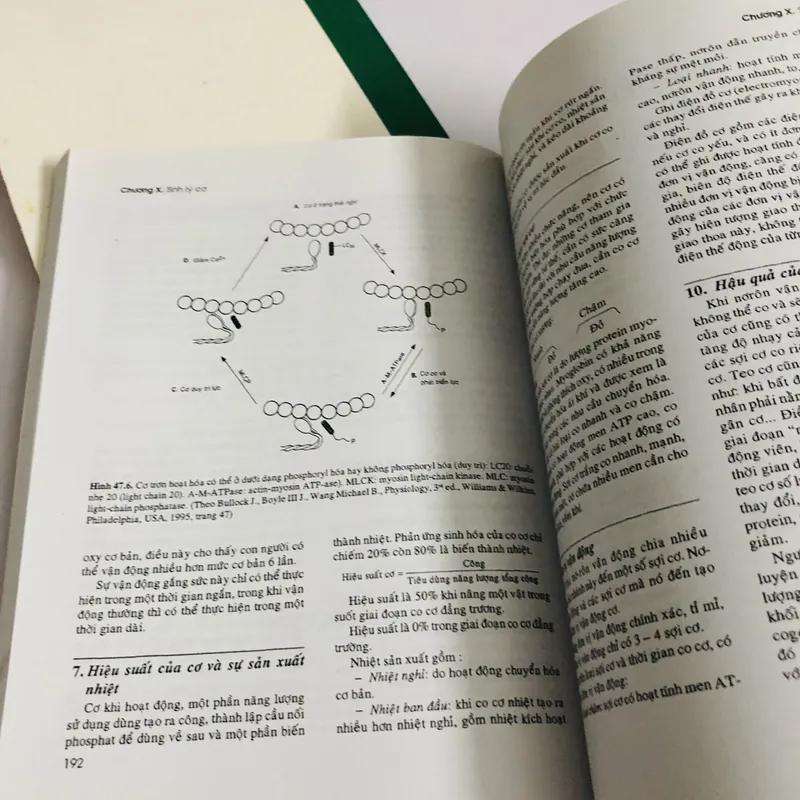 THỰC TẬP HOÁ SINH Y HỌC  675231