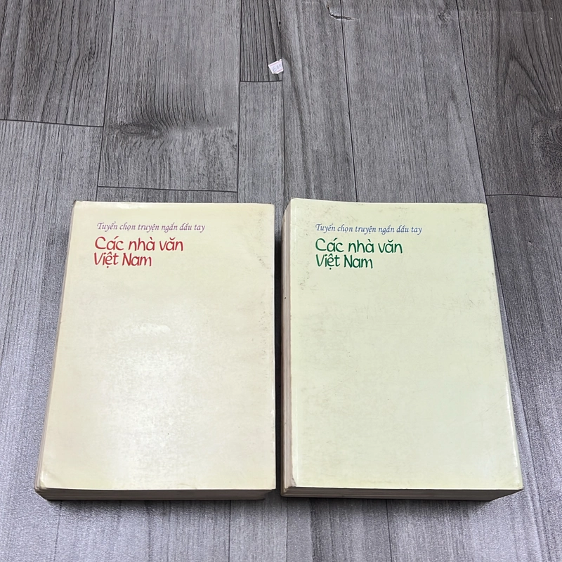 Tuyển chọn truyện ngắn đầu tay các nhà văn việt nam. 6b3 545020