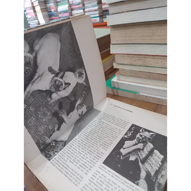 Le livre d'or des Chats 759549