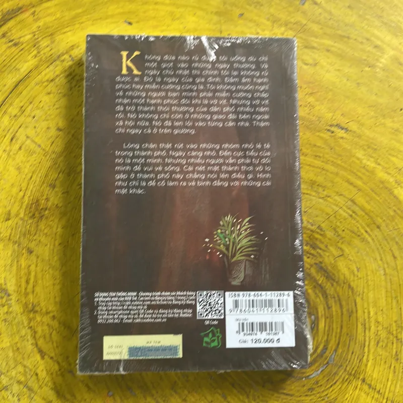 MÙI TRẦN - đỗ phấn 935004