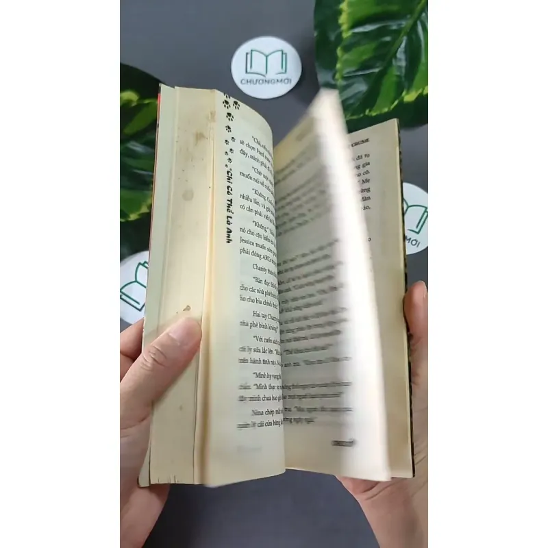 Chỉ Có Thể Là Anh - Jennifer Crusie 604632