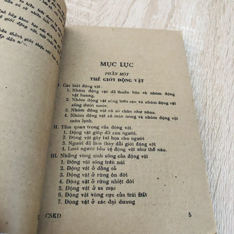 CUỘC SỐNG KỲ DIỆU  928975