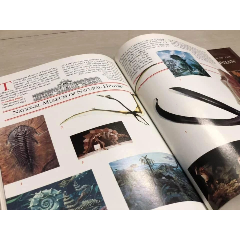 A PICTURE TOUR OF THE SMITHSONIAN - 1990 522618