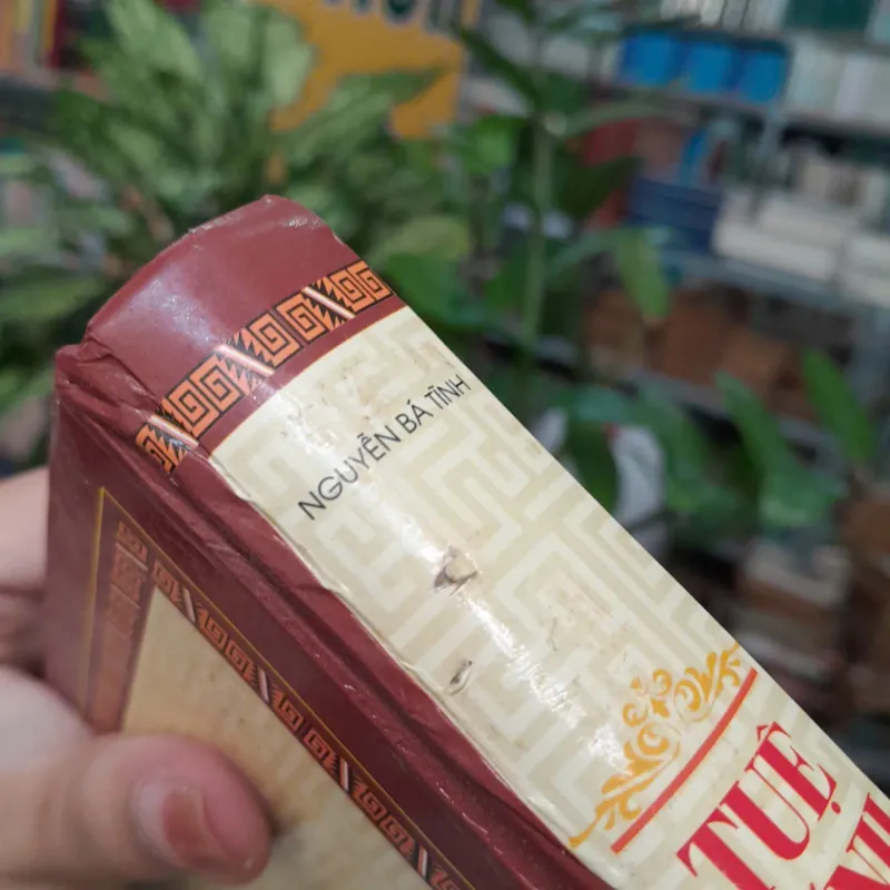 TUỆ TĨNH TOÀN TẬP - NGUYỄN BÁ TĨNH 1035540
