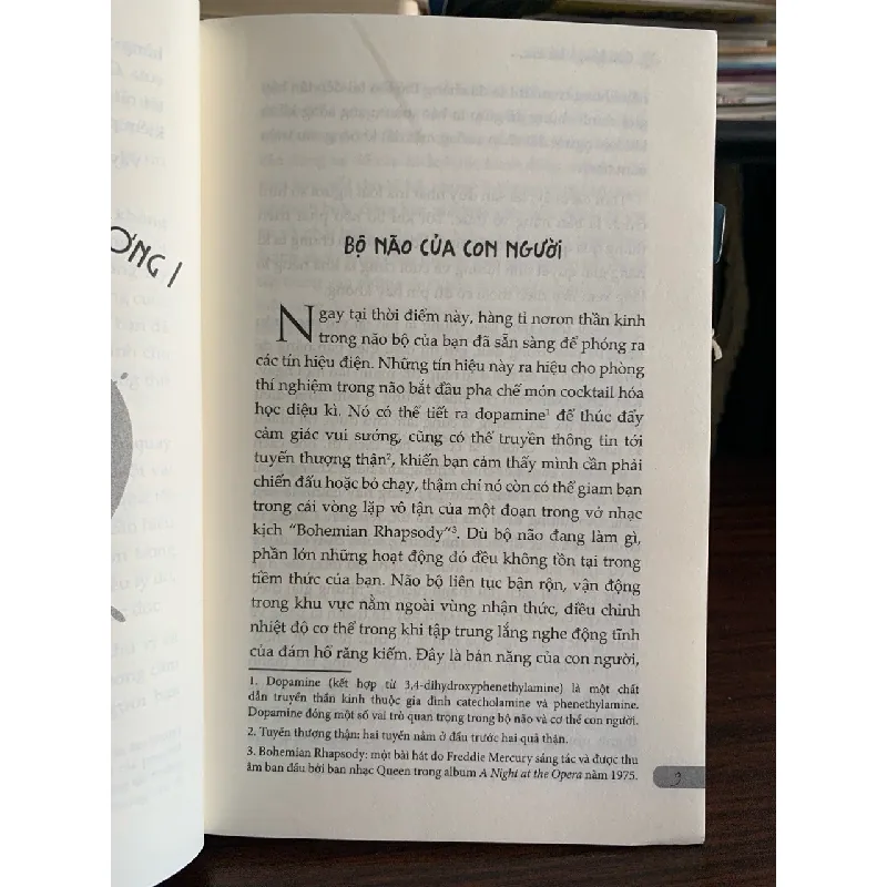 Cân bằng cảm xúc cả lúc bão giông – Richard Nicholls 572301