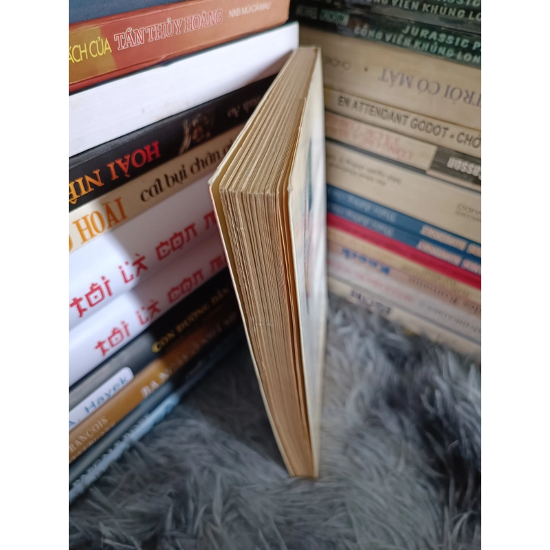 Hoàng Cầm 99 tình khúc 478117