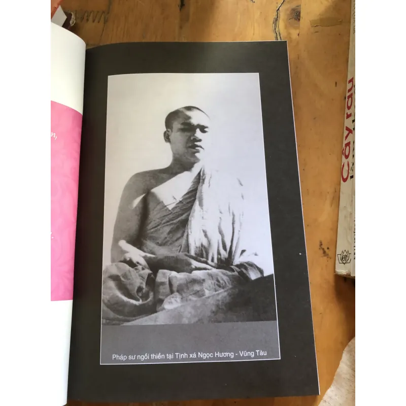 Ánh nhiên đăng 1000592