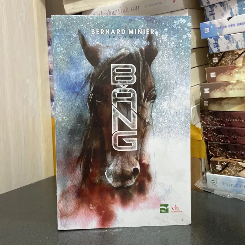 (Trinh thám) - Băng - Bernard Minier 974028
