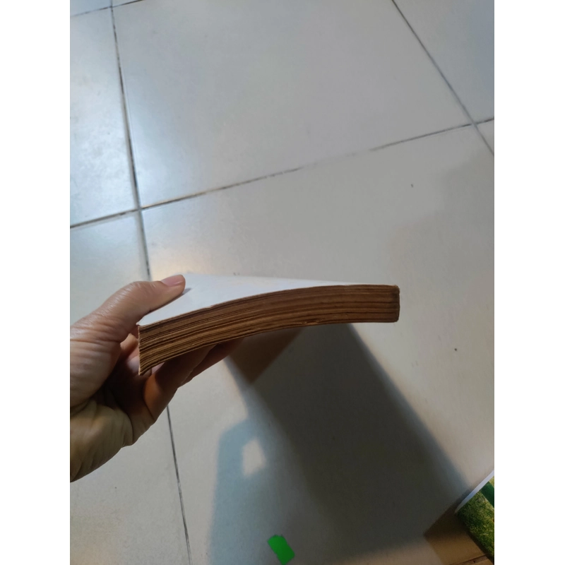 Đêm về lá rụng 477150